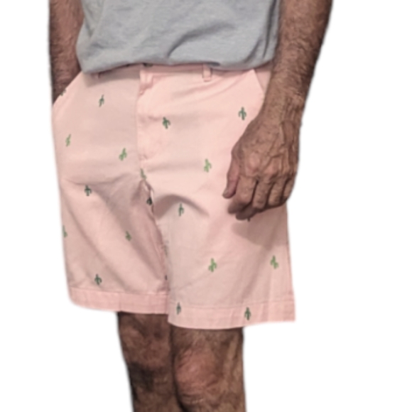 CHAPS • RALPH LAUREN Costland Wash Cactus Print Shorts ~ NWT - Picture 3 of 11